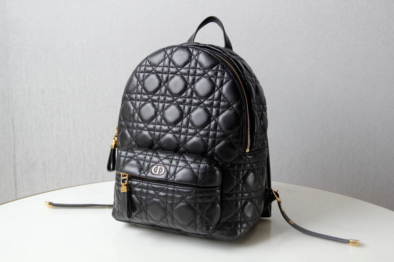 Dior Bag Luxury Bag New Arrival - 2765