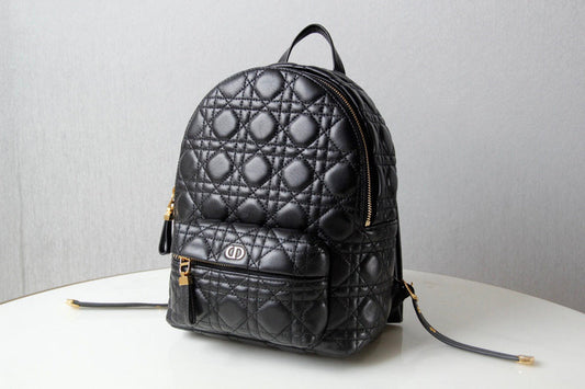 Dior Bag Luxury Bag New Arrival - 2765