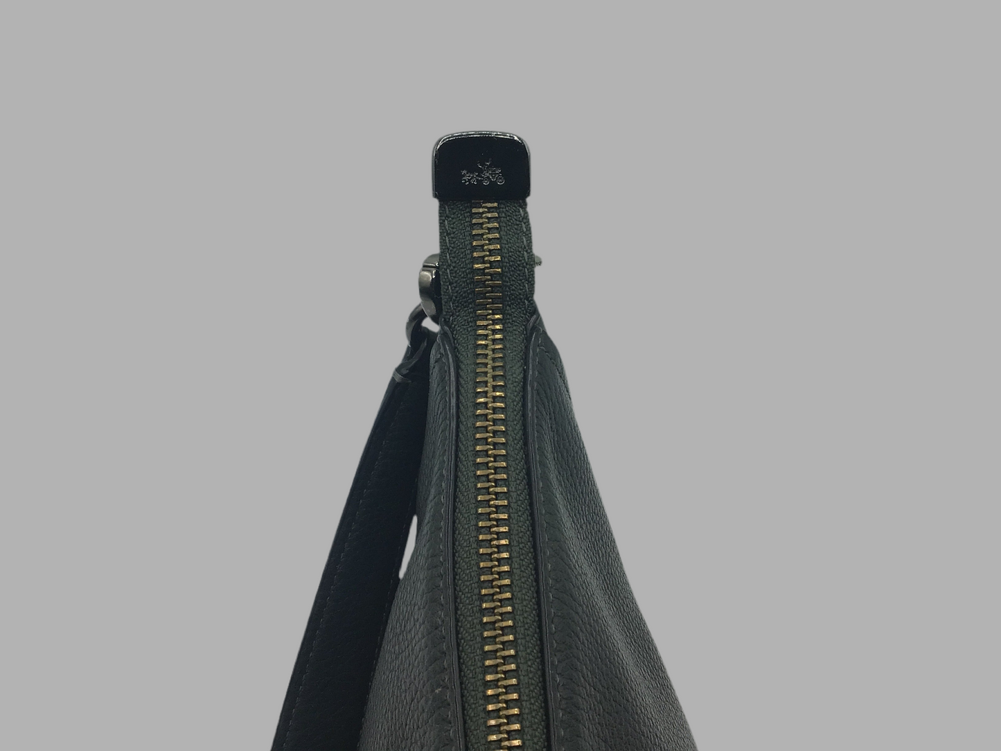 Cross Body Coach Bag, Green