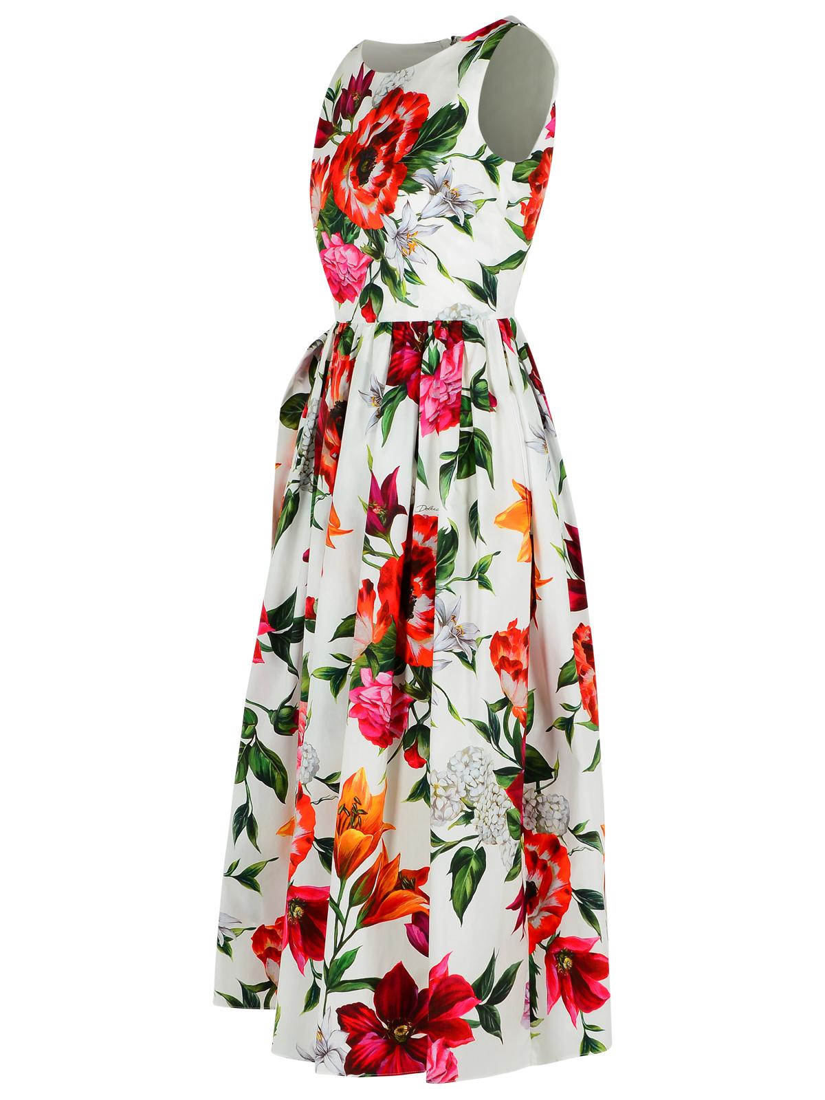 Dolce & Gabbana Sleeveless Dress In Cotton Poplin Flower Print Women