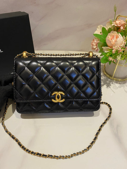 Chanel Bag New Arrival Luxury Bag - 174