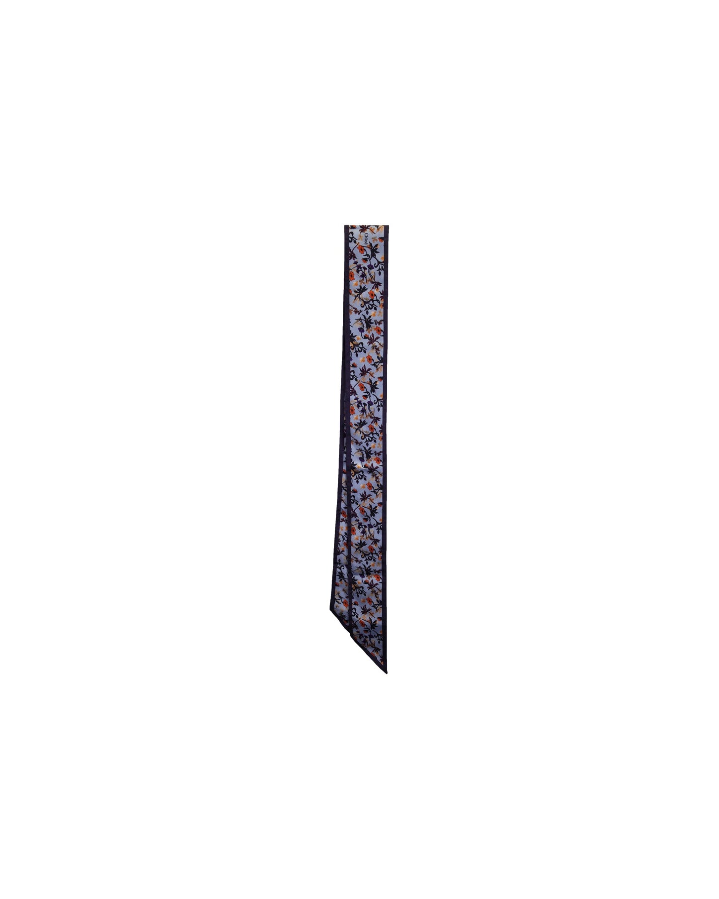 Chloe Floral Printed Scarf in Light Blue Silk