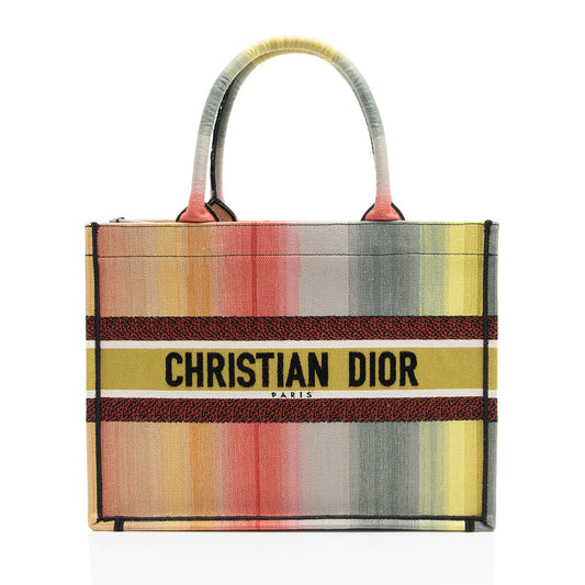 Dior Canvas Dioraura Small Book Tote (SHF-Y8CaHB)