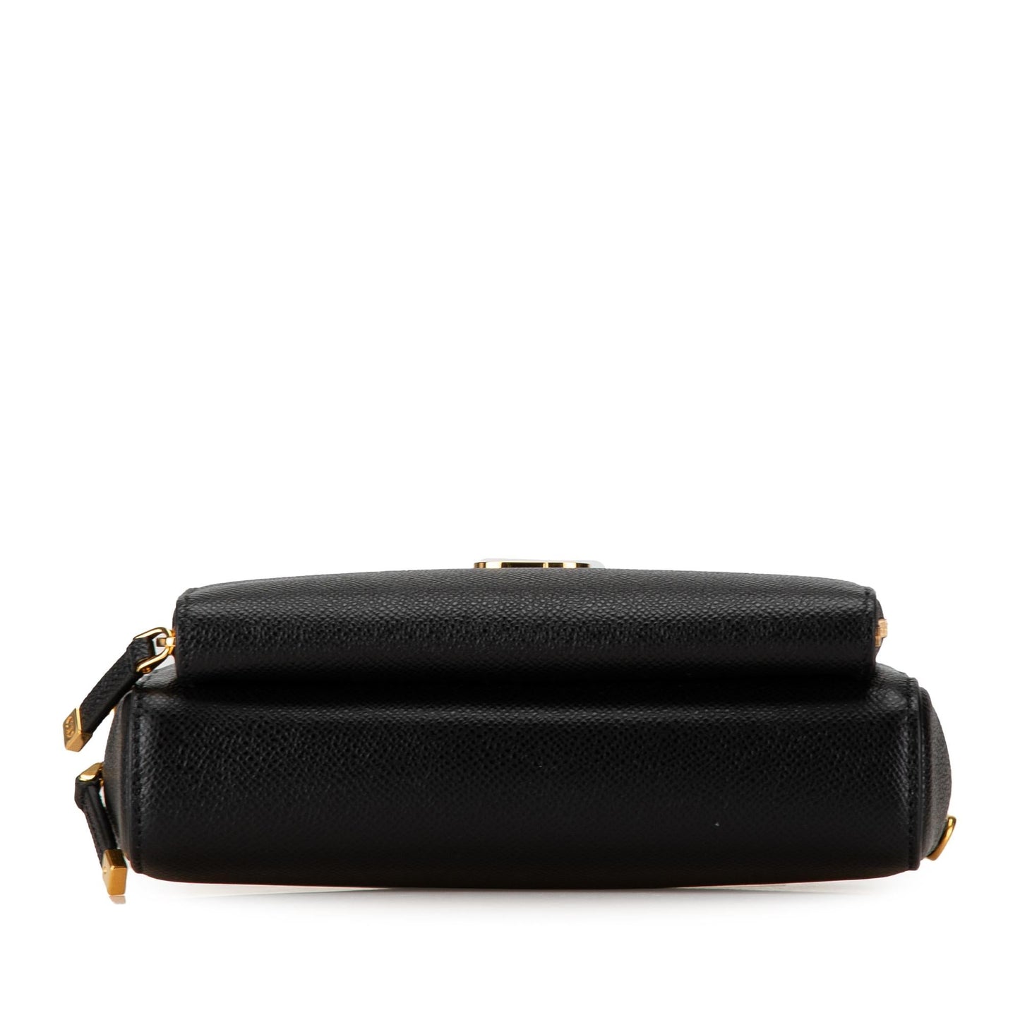 Dior Grained Calfskin Caro Double Pouch (SHG-evu93G)