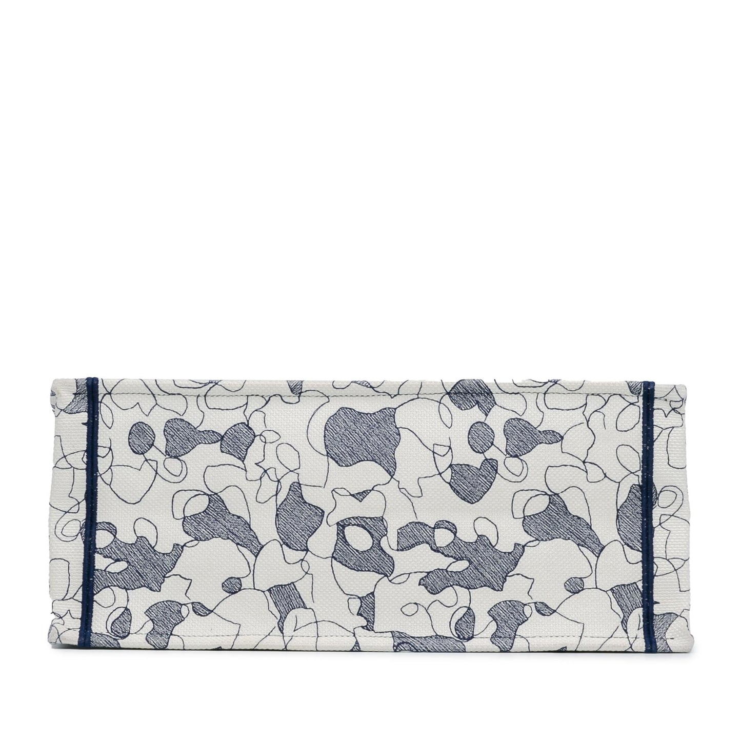 Dior Large Around The World Book Tote (SHG-dgKn9I)