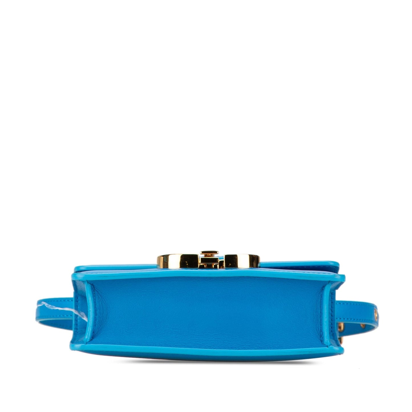Dior Micro Smooth Calfskin 30 Montaigne Flap (SHG-cCSSc0)
