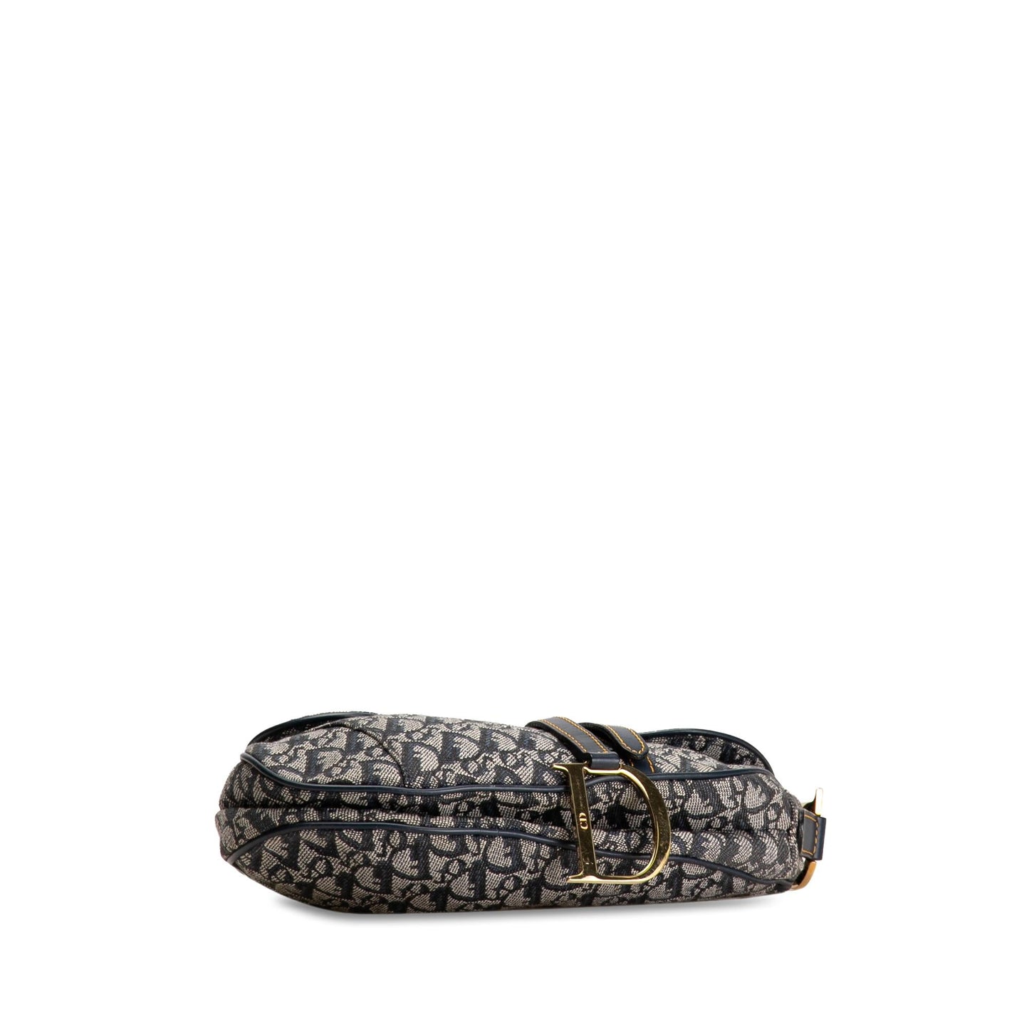 Dior Oblique Canvas Saddle (SHG-yGP2np)