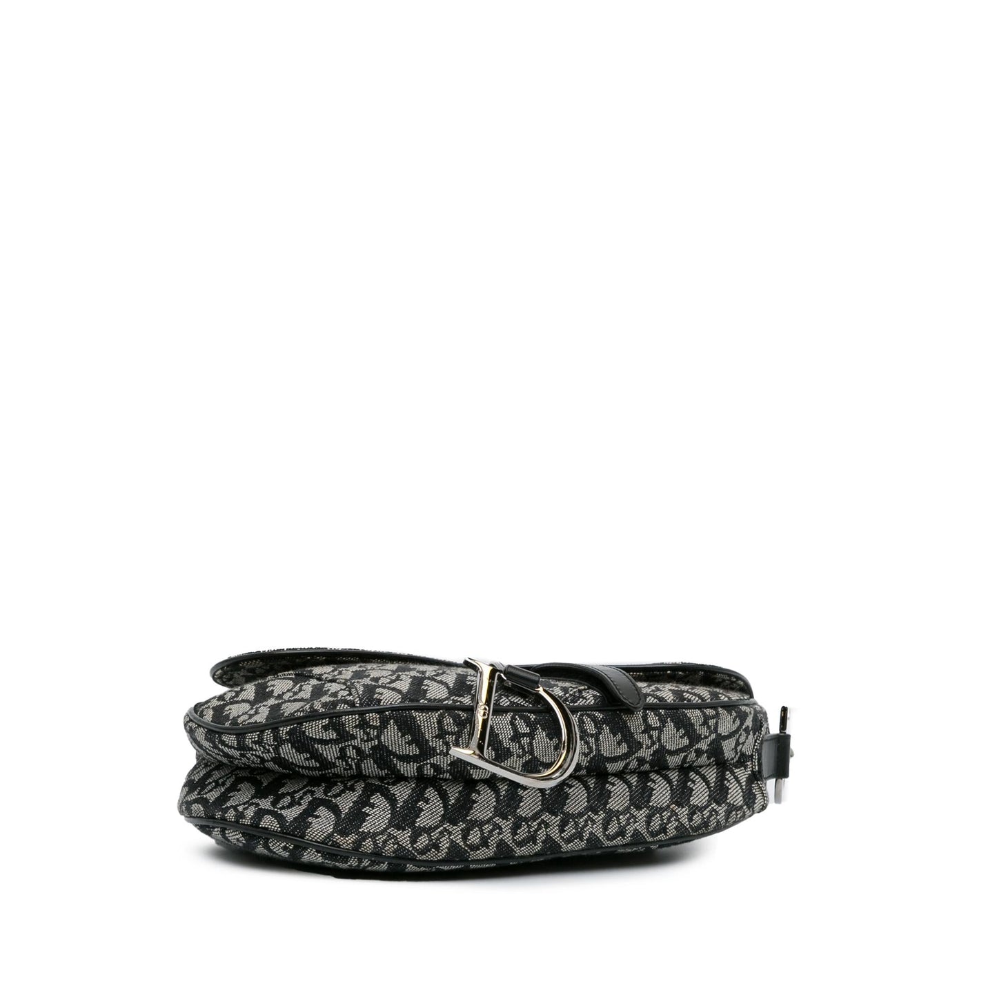 Dior Oblique Canvas Saddle (SHG-4Ylzsd)