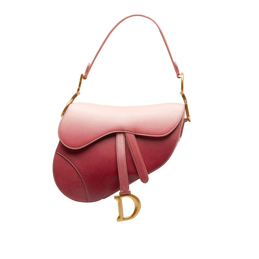 Dior Ombre Saddle (SHG-4Q7fU5)