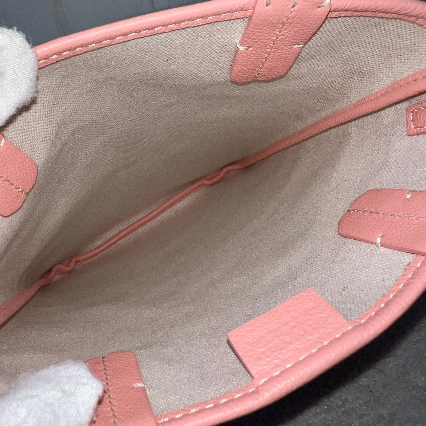 Goyard Poitiers Claire-Voie Bag in Pink Goyardine Canvas