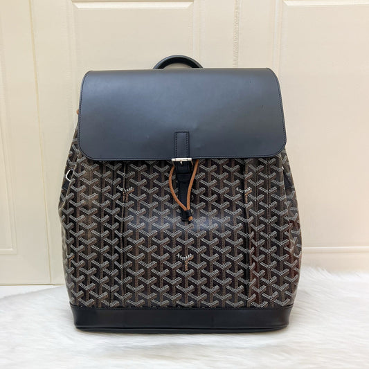 Goyard Alpin Backpack in Black Goyardine Canvas and Leather