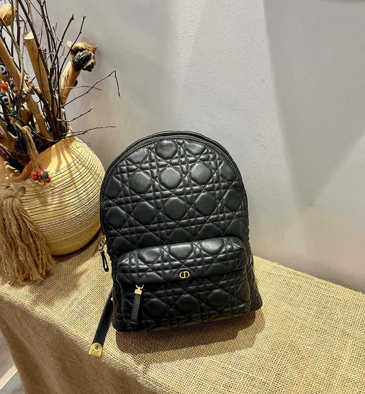 Dior Bag Luxury Bag New Arrival - 5880