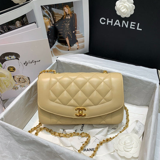Chanel Bag New Arrival Luxury Bag - 763