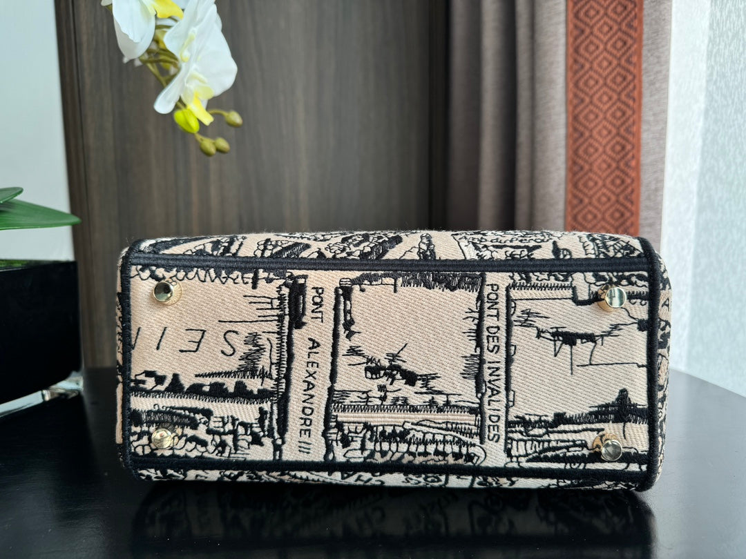 DIOR medium lady 24 black pink embroidery canvas