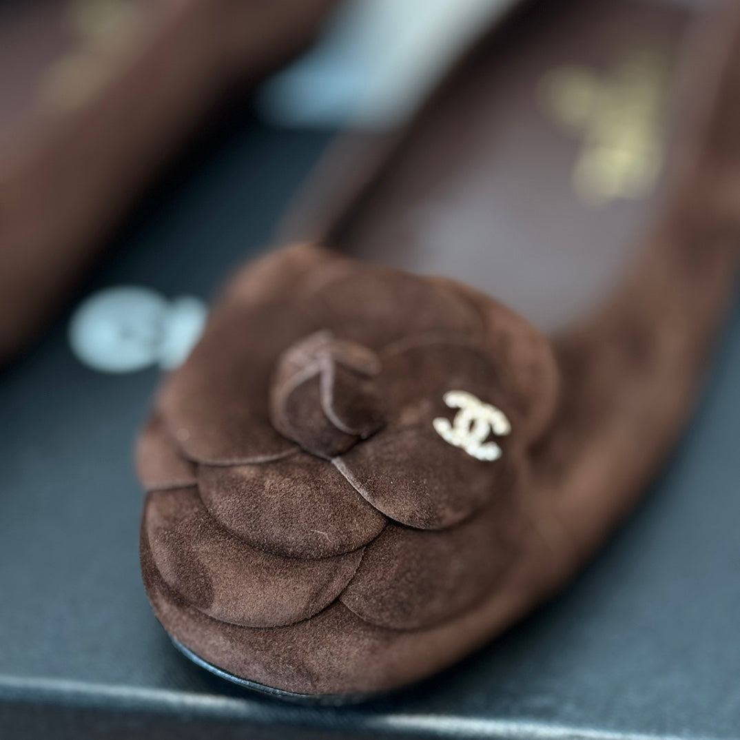 CHANEL Ballet Flats Dark Brown With Camellia Dark Brown Suede