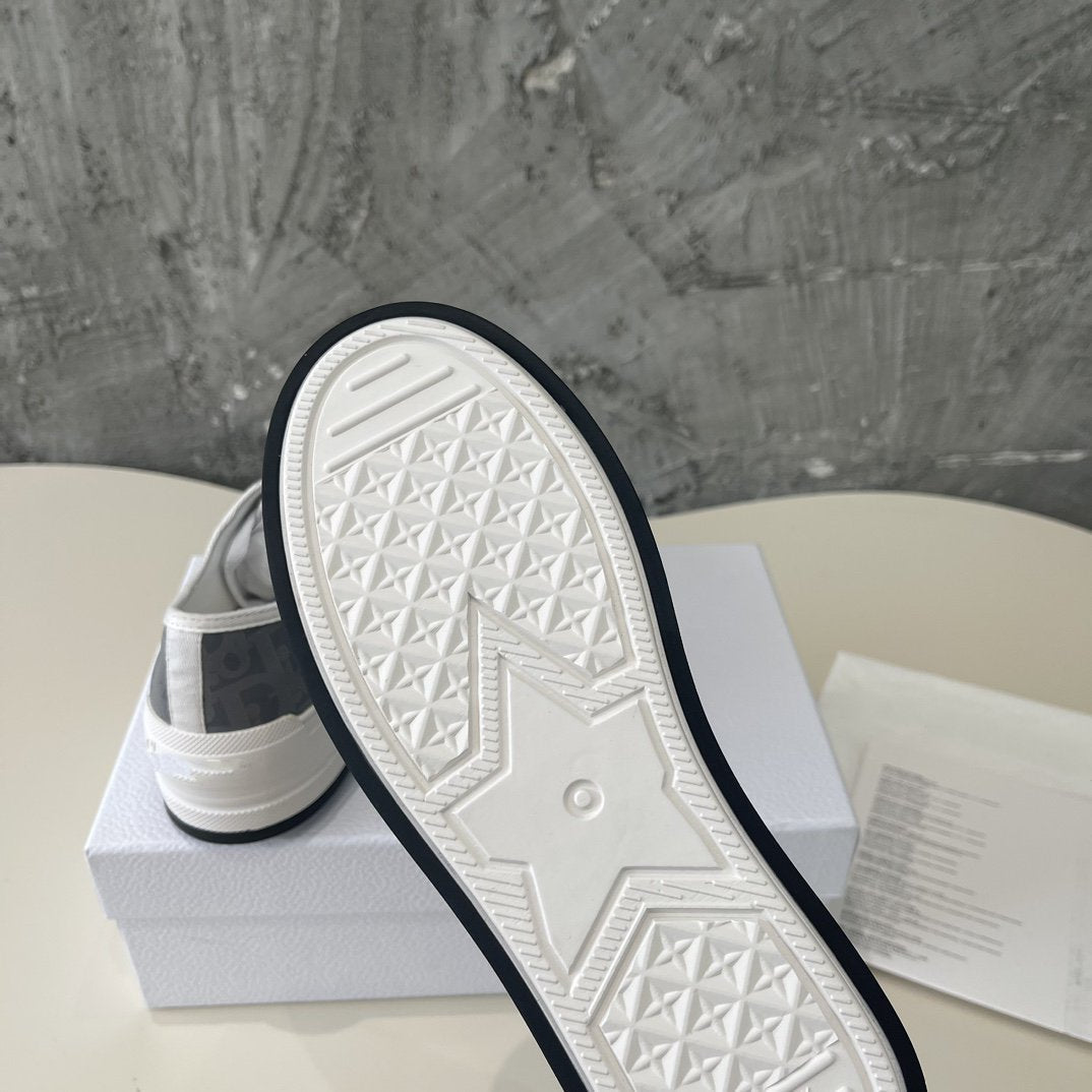 DIOR walkn grey oblique printed canvas