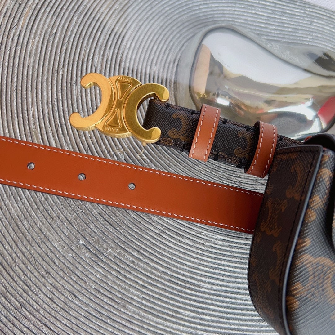 Celine triomphe canvas belt bag triomphe gold buckle