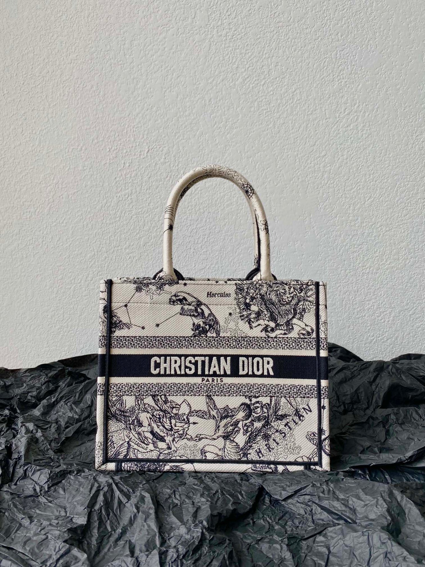 DIOR Small Book Tote 26.5cm Hercules White
